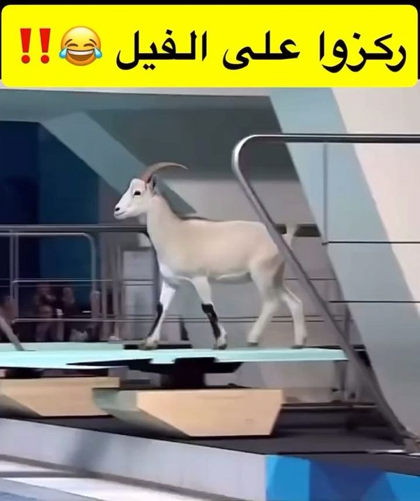Funny AI video 🤣#ميمز #كوميدي #ضحك #موقف_مضحكه #فن #فيديوهات_مضحكه