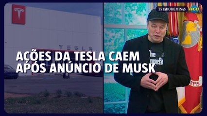 Ações da Tesla caem após Musk lançar partido nos EUA