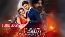 Fated To My Homeless Billionaire Alpha – Full Movie (2025)