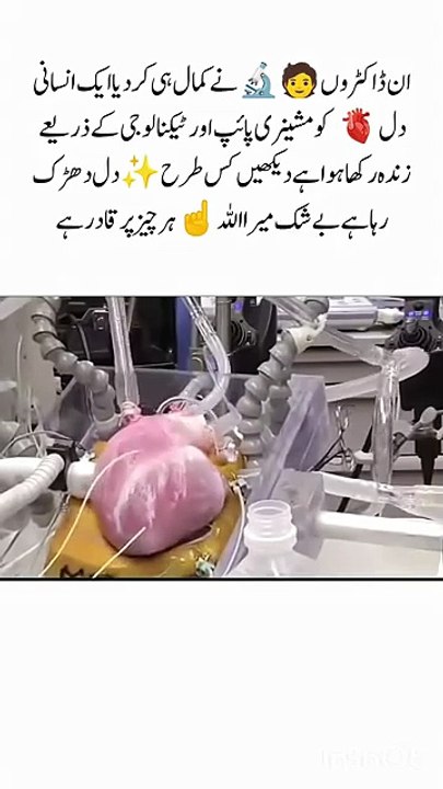 Power_of_Allah_☝️alive_heart__subhanallah_#allah_#heart_#viralvideo_#trending_#shorts(360p)