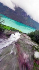 "Escape Into the Beauty of Nature 🌲"