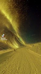 "Silent Beauty of Nature 🌿 | Feel the Calmness in Every Frame"