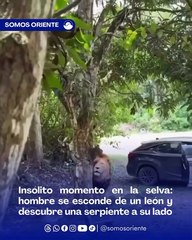 hombre escondido en un árbol mientras un león lo observa
