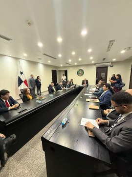 Asamblea Nacional frena conformación de comisiones de trabajo ¿Por qué?