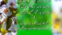 10 Best Aqwal e zareen in Urdu _ Best Quotes in Urdu by Aqwal e zareen library with Beautiful voice(720P_HD)
