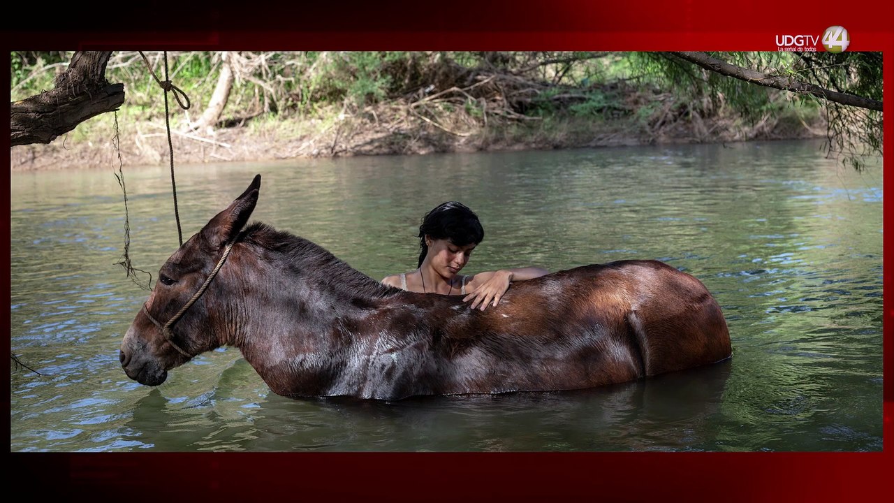 Cine al estilo Jalisco: Proyectan la película “La Arriera” en municipios de Jalisco
