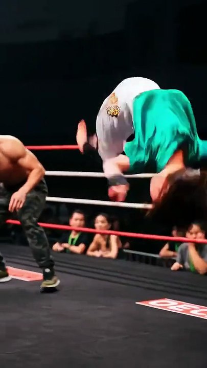 Little Star Kung Fu Fighter