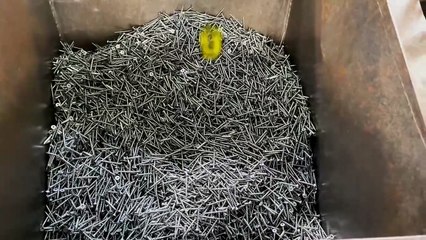 We Supply Custom Screws for Global Buyers