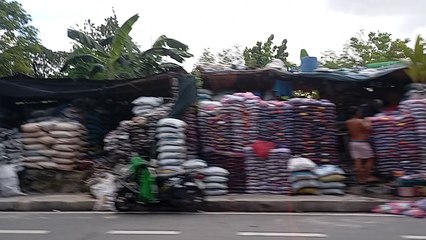 Koi Fish For Sale Mindanao Avenue
