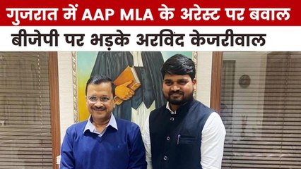 AAP विधायक चैतर वसावा क्यों हुए गिरफ्तार, देखें गुजरात आजतक में
