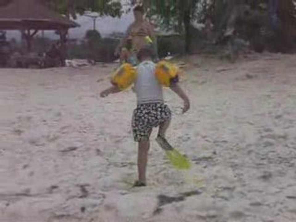 La danse des canards