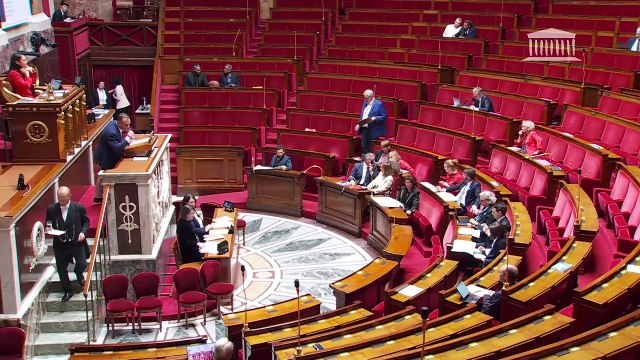 1ère séance : Restitution d’un bien culturel à la République de Côte d’Ivoire ; Mode d’élection des membres du Conseil de Paris et des conseils municipaux de Lyon et Marseille (nouvelle lecture) - Lundi 7 juillet 2025