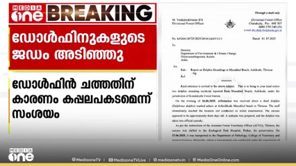 തൃശൂര്‍ തീരത്ത് ഡോള്‍ഫിനുകളുടെ ജഡം അടിഞ്ഞതിന് പിന്നിൽ കപ്പലപകടമെന്ന് സംശയം; രാസമാലിന്യ സാന്നിധ്യം