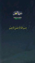 Quran | Quran Tilawat | Islam | Muharram #islam #Quran #shorts # Dua #muharram #hussain #Trending #viral