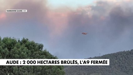 Incendie dans l'Aude : 2.000 hectares brûlés, l'A9 fermée