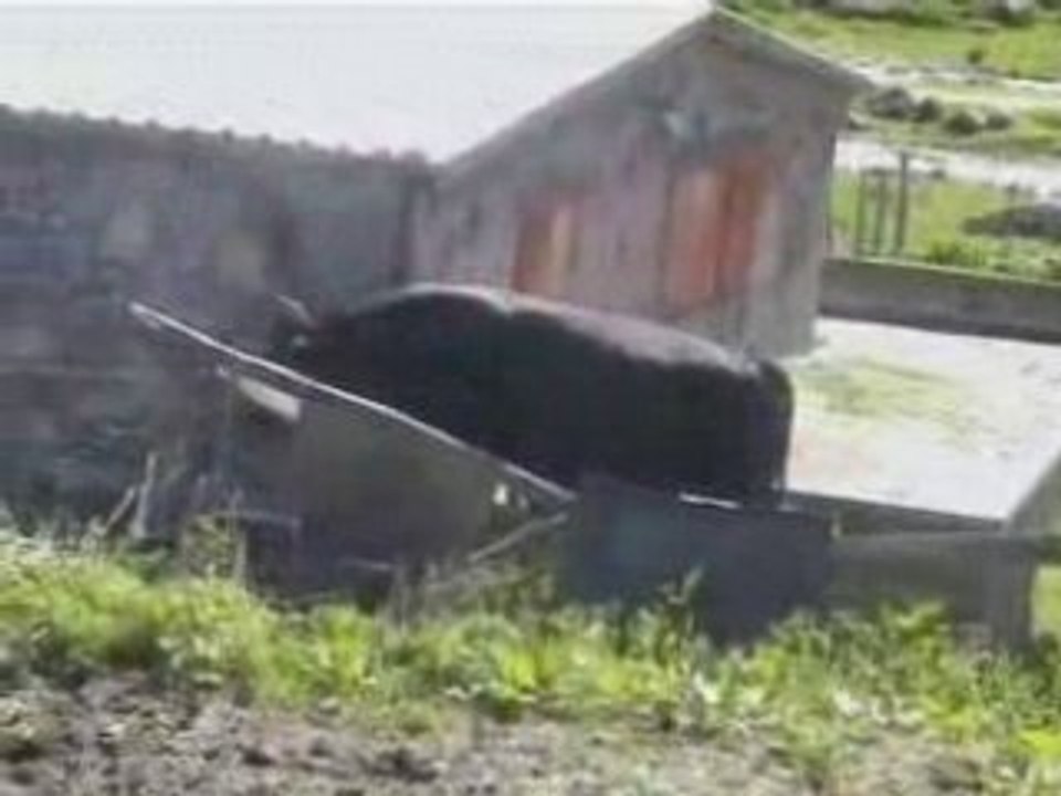 Kavrun tanıtım-2-www.kavrun.tr.gg