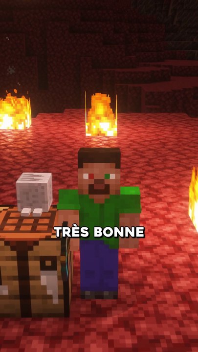 Vos questions bizarres sur Minecraft 👀