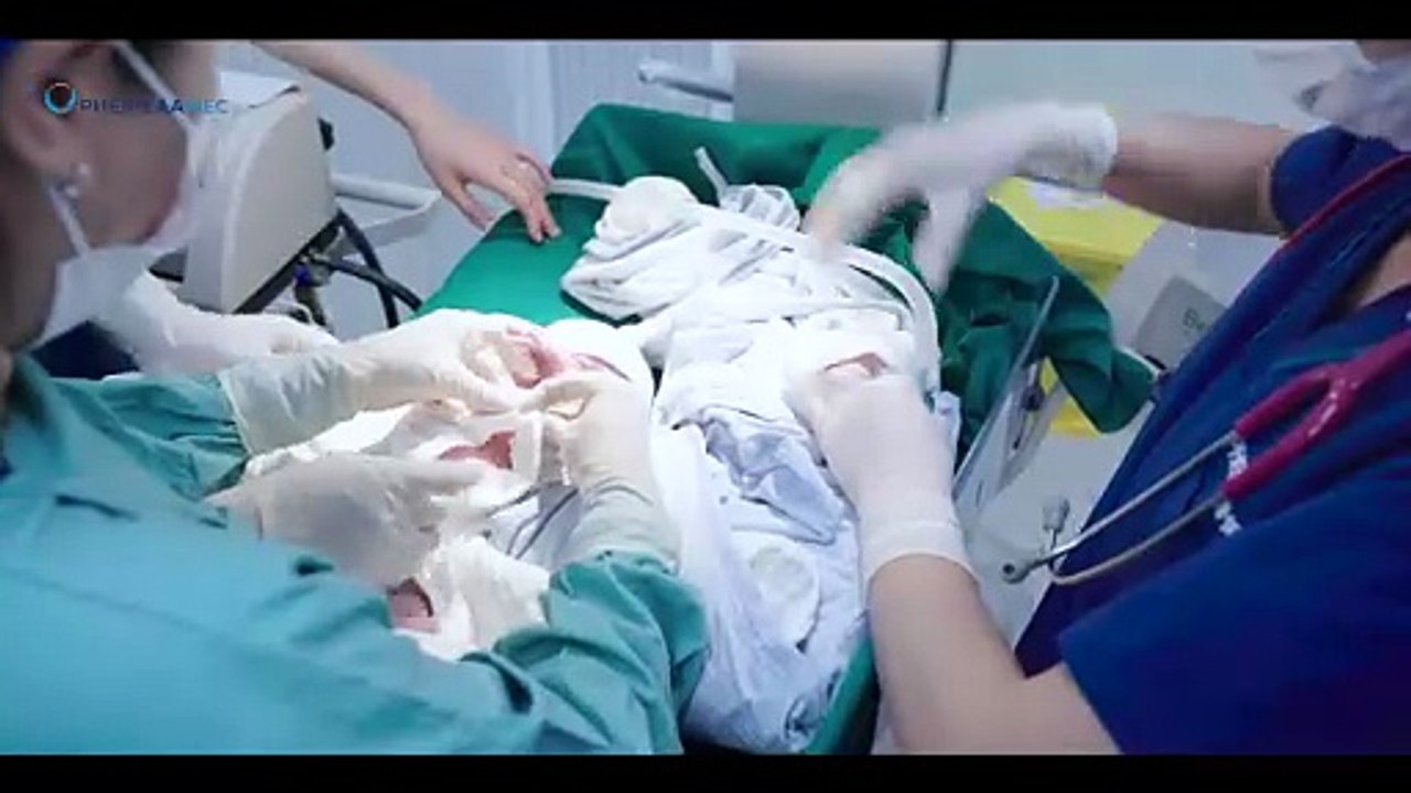 Dịch vụ thai sản trọn gói cao cấp tại PhenikaaMec – Đồng hành an toàn cùng mẹ bầu hiện đại