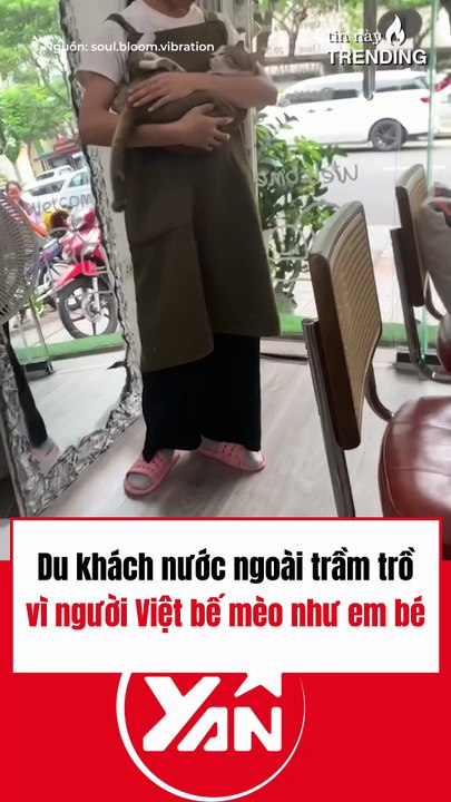 Người Việt gây bất ngờ khi bế mèo như bế em bé