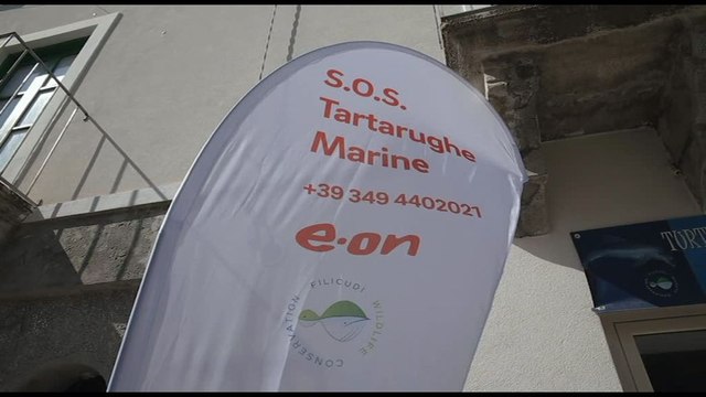 Inaugurato a Lipari un nuovo centro per le tartarughe