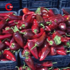 Adana'da hasat başladı: Bu yıl fiyatı artmadı!