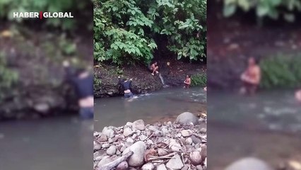 Bir geldi pir geldi: Anakonda nehir kenarında yüzenlere dehşeti yaşattı