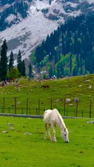 Most Beautiful place on earth ❤️❤️ don't feel like real you want to  see it 💞