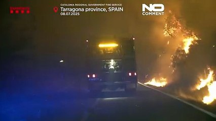 Hitzewelle in Spanien entfacht Großbrand im katalanischen Nationalpark
