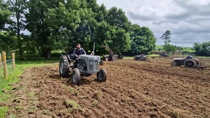 A final video from the fields at the Ulster Folk Museum on Ferguson Tractor Day