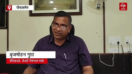 जैसलमेर में विलुप्त हो रहे गोडावण पक्षी को बचाने की अनोखी कोशिश, दो अंडों पर किया गया प्रयोग