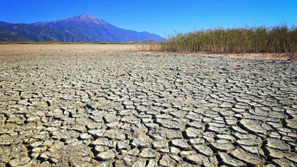 Milleyha Kuş Cenneti kurudu