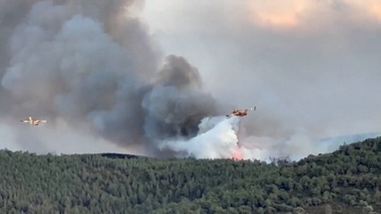 Incendie dans l'Aude : le feu continue de progresser, les conditions météo restent défavorables