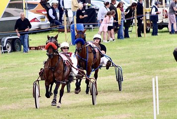Gallery: Wales & Border Counties Harness Racing at Elmeley, 5 July, 2025