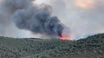 Incendie dans l'Aude : le feu a brûlé plus de 2 000 hectares de végétation