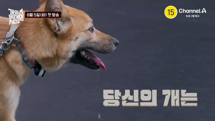 [티저] 당신의 개는 개일까? 늑대일까? 더욱 강해지고 깊어진 차원이 다른 강형욱 매직이 온다 | [개와 늑대의 시간] 8월 5일(화) 첫방송