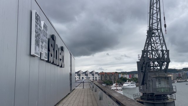 Bristolians Discuss: The RSPCA is highlighting a rise in animal cruelty cases and asking people to think about how we treat our pets.