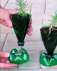 Discover Top New Hacks to Simplify Your Life ✨