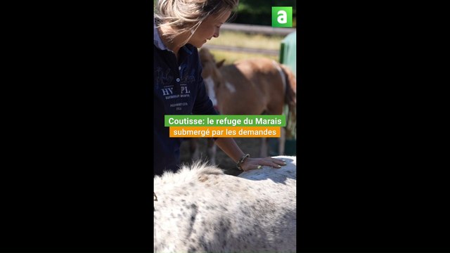 Crise des refuges: reportage au refuge du Marais à Coutisse