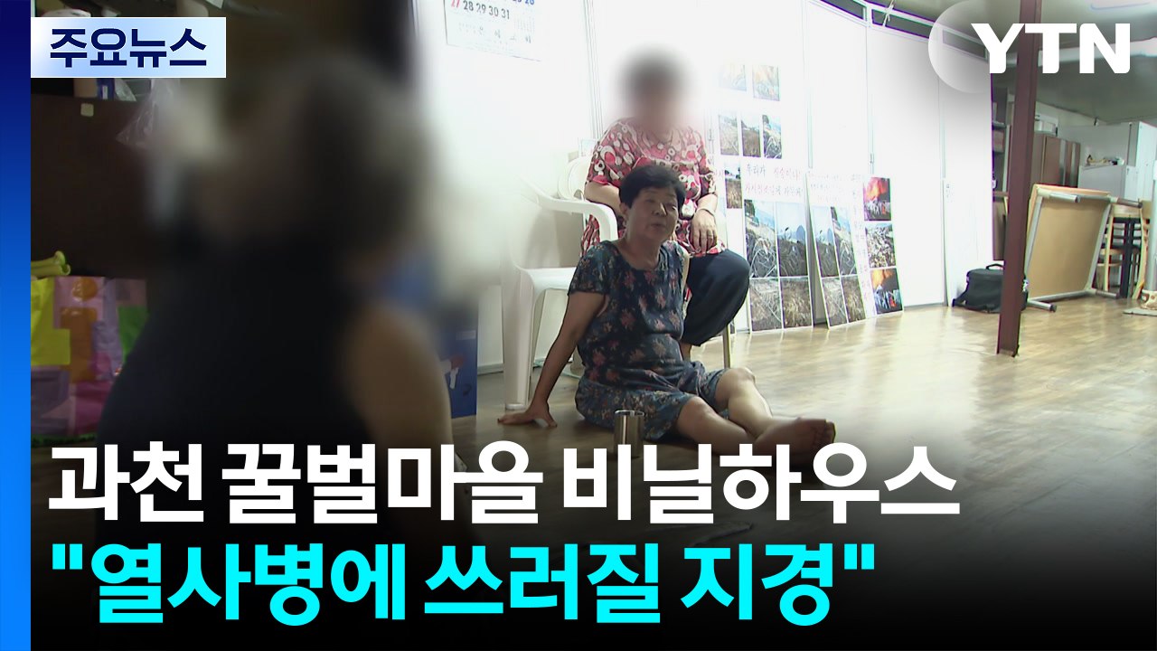 40도 넘는 과천 꿀벌마을 비닐하우스..."열사병으로 쓰러질 지경" / YTN