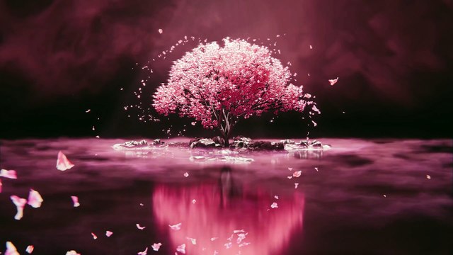 Musique Piano et Violon Relaxant | 4K | Pétales en Mouvement et Sérénité