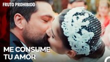El Momento Más Hermoso Y Más Especial