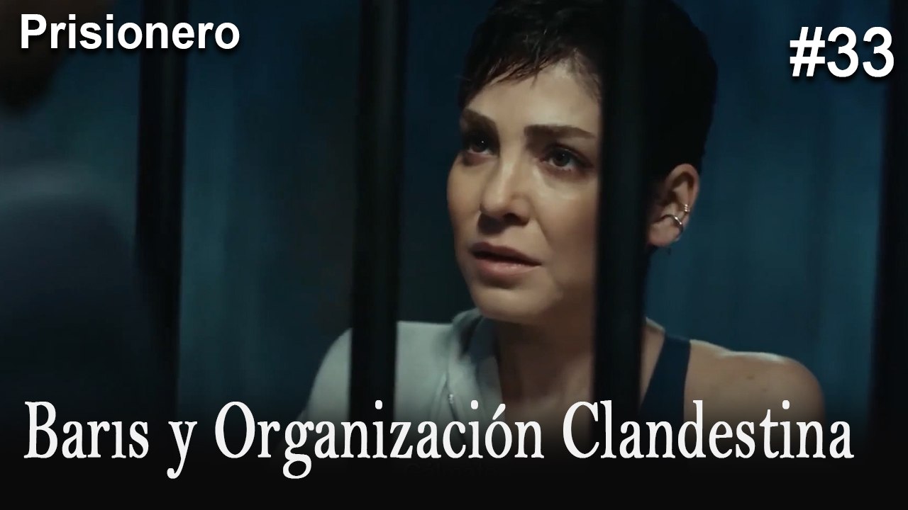 Barıs y Organización Clandestina #33