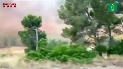 Incendios en España y Francia queman miles de hectáreas