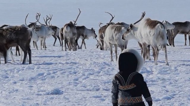 ALTAÏR conférences - Arctique, la Vie en Nord Bande-annonce VF