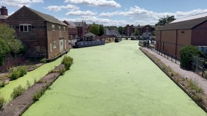 West Midlands canal system turns green