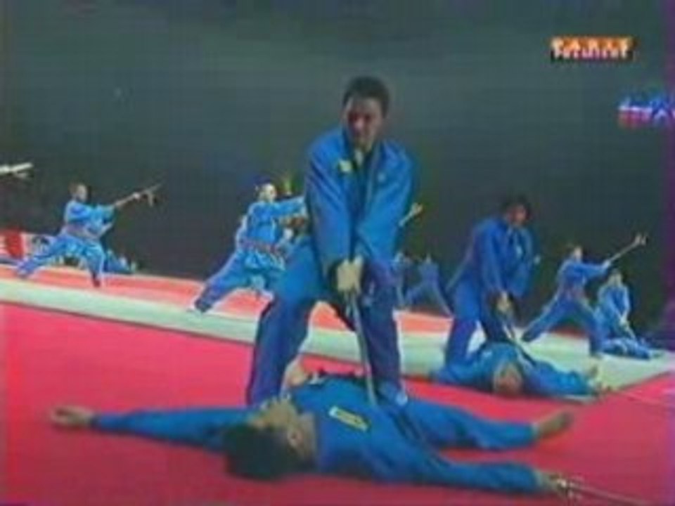 Vovinam Bercy 2002