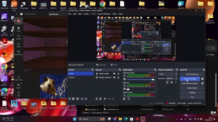 woot woot game gameplay - 2024-08-16 16-49-59