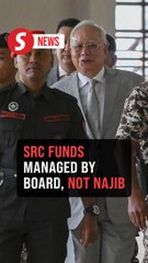 Responsibility for transactions lies with SRC International's board, says lawyer