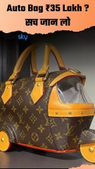Louis Vuitton का Auto Rickshaw Bag – ₹35 Lakh Price सुन Public के उड़े होश !  #AutoRickshawBag