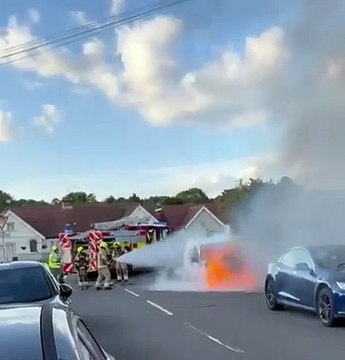 Watch emergency response after van bursts into flames in Lancing